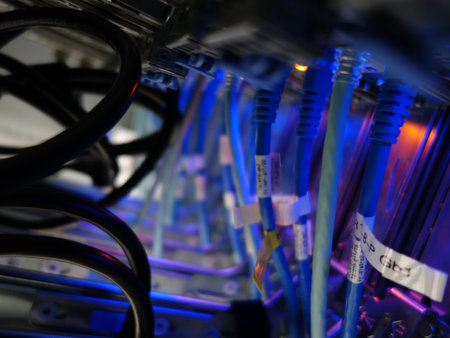 network cables connected to switch - closeup of data center hardware technology