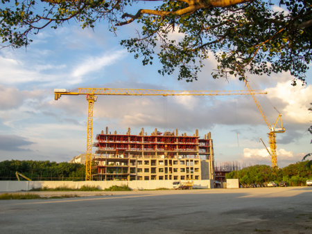 A vibrant construction site featuring a crane working on a new building. The setting sun casts a warm glow on the scene, framed by trees.の写真素材