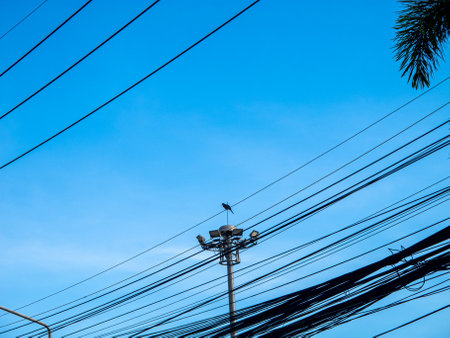A serene scene featuring a bird resting atop a power pole, framed by contrasting black power lines against a vibrant blue sky, showcasing urban wildlife.の写真素材