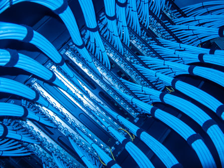 A close-up view of blue Ethernet cables neatly arranged in a network rack, showcasing the intricate organization of data connectivity within a server room.の写真素材