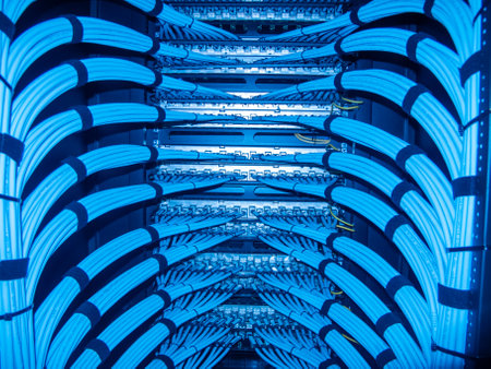 An organized network cable setup in a server rack featuring striking blue lighting. This image highlights technology, data connections, and efficient infrastructure.の写真素材