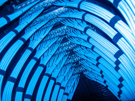 A captivating view of organized blue cables in a data center, showcasing the complexity of modern networking technology and efficient cable management.の写真素材