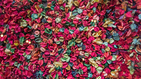 A vibrant display of dried leaves and petals in various colors creates a stunning decorative background. Ideal for design inspiration and crafting projects.の写真素材