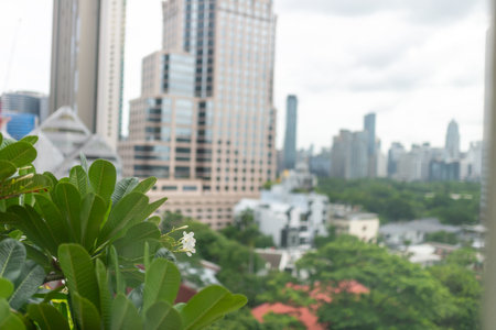 A serene urban garden scene featuring a delicate flower in focus, contrasted against a blurred skyline, capturing the harmony of nature and city life.の写真素材