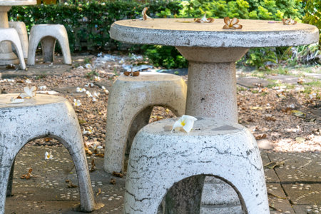 A rustic outdoor table and chairs set amongst fallen flower petals, creating a serene and inviting ambiance in a natural garden setting perfect for relaxation.の写真素材