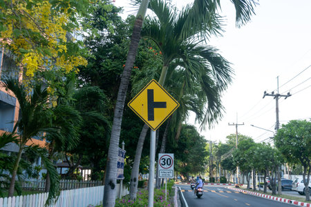 A vibrant urban street scene featuring a caution left turn sign surrounded by lush palm trees. The...