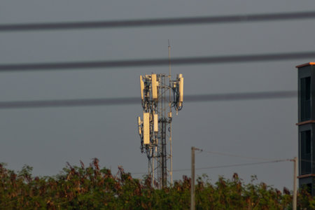 A communication tower rises amidst greenery, showcasing modern technology. Clear blue sky provides a perfect backdrop for this vital telecommunication infrastructure.の写真素材