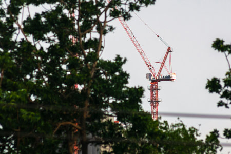 A bright red construction crane rises above the trees, symbolizing urban development and the integration of nature with industrial advancement in city landscapes.の写真素材