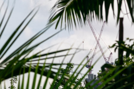 A striking juxtaposition of cranes against a backdrop of lush greenery and blue sky, symbolizing urban development and nature's resilience in harmony.の写真素材