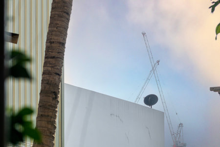 An urban landscape featuring a construction site with cranes, framed by a palm tree and building. The scene captures a blend of nature and development under cloudy skies.の写真素材
