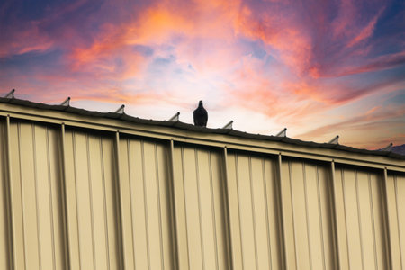 A stunning sunset sky showcases vibrant colors with a solitary pigeon perched on the edge of a...