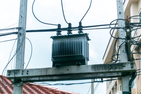 An electric transformer mounted on a utility pole, surrounded by tangled wires, showcases the...