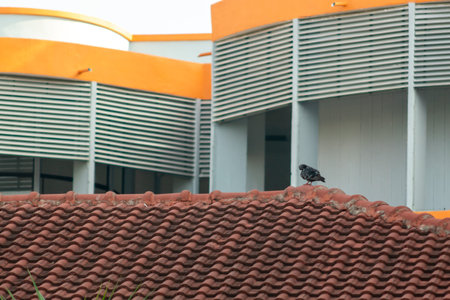 A serene urban landscape featuring a solitary bird perched on a rooftop, set against the backdrop of...
