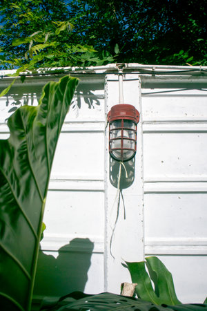 A rustic lantern hangs on a white garden wall, surrounded by lush greenery, creating a serene atmosphere perfect for outdoor settings.の写真素材