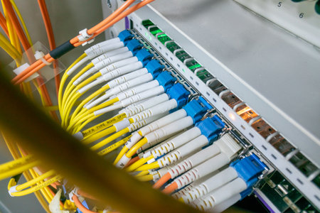 Close-up view of network cables connecting to a switch panel, showcasing the organization and details of modern data infrastructure and technology equipment.の写真素材
