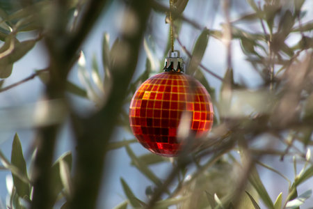 A vibrant red ornament reflecting light hangs elegantly from olive tree branches, creating a festive atmosphere. Ideal for seasonal celebrations and decor.の写真素材