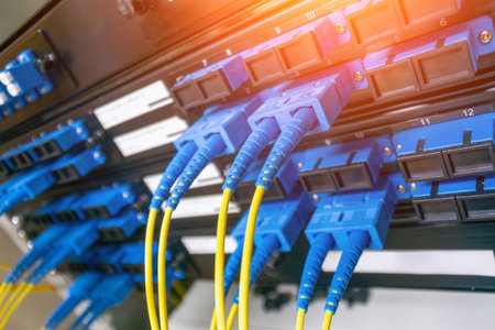 Close-up view of fiber optic cables connected in a network rack, showcasing modern technology for high-speed data transmission in telecommunication systems.の写真素材