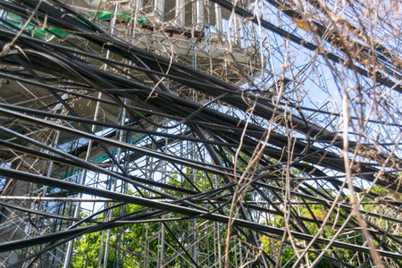 A detailed view of a construction site showcasing tangled cables and scaffolding, highlighting the intersection of urban development and nature.の写真素材