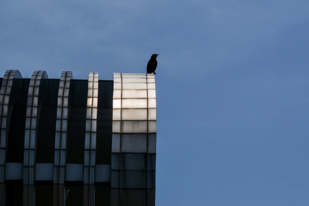 A captivating image showcasing modern architecture characterized by unique curved designs and reflective glass surfaces against a blue sky.の写真素材