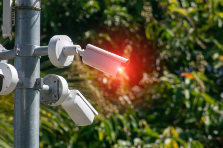 A close-up view of surveillance cameras mounted on a pole surrounded by lush greenery, highlighting the blend of technology and nature in security systems.の写真素材