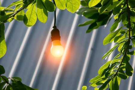 A bright lightbulb hangs gracefully amid vibrant green leaves, creating a serene atmosphere. The interplay of light and nature offers a refreshing touch to outdoor spaces.の写真素材
