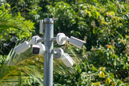 A cluster of surveillance cameras mounted on a metal pole amidst lush greenery, highlighting modern technology in outdoor security and monitoring systems.の写真素材