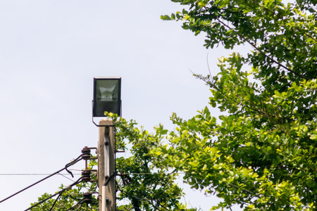 A tall utility pole with a light fixture stands out against a backdrop of green foliage, showcasing the blend of nature and modern infrastructure under a clear sky.の写真素材