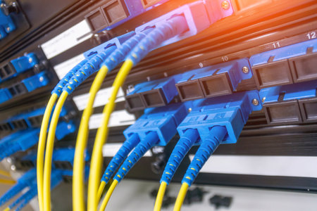 Detail of fiber optic cables showcasing blue connectors and yellow fibers. The image highlights modern technology used in data communication and networking systems.の写真素材
