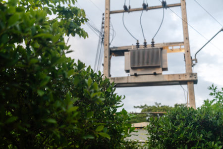 A power transformer stands above lush green bushes, showcasing the blend of technology and nature in...