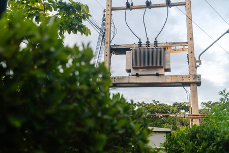 A power transformer mounted on a utility pole surrounded by greenery demonstrates the balance of...