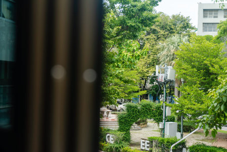 A tranquil urban landscape featuring lush green trees and a peaceful street scene. This image...