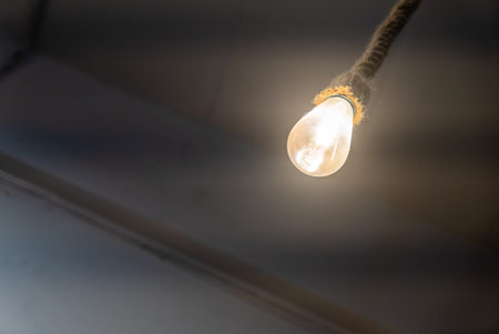 A vintage light bulb hangs from the ceiling, providing a warm and soft glow. The rustic design...