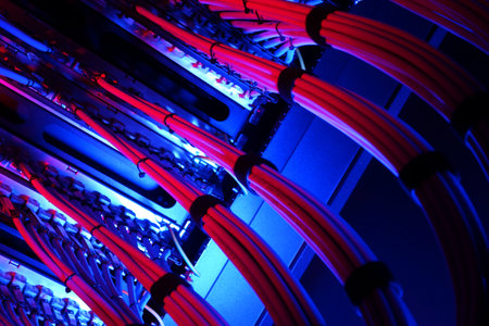 Vibrant network cables arranged in a server room illuminated by blue light, showcasing modern...