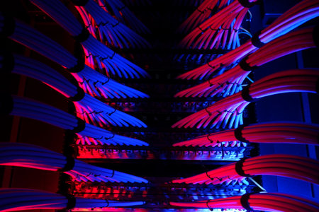 Vivid image showcasing network cables illuminated with vibrant blue and red lights in a digital environment, highlighting technology and connectivity.の写真素材