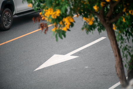 A clear arrow direction sign on an urban roadway, surrounded by a vibrant tree with yellow flowers. This image captures the essence of navigation and city life.の写真素材