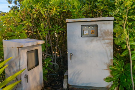 A pair of utility boxes nestled among lush greenery, showcasing the blend of technology and nature...