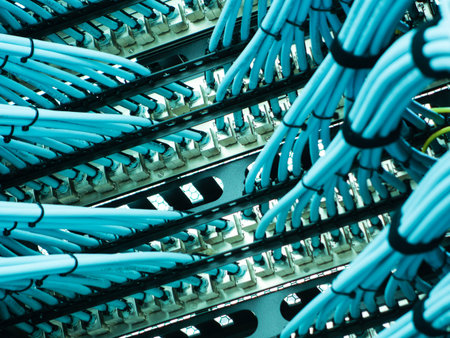 A close-up view of blue cables arranged intricately within a data center, showcasing the essential...