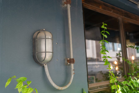 A vintage industrial wall light fixture mounted on a blue wall, surrounded by lush green plants....