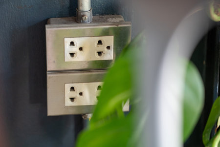 This image showcases a close-up view of two electrical outlets mounted on a wall, beautifully...