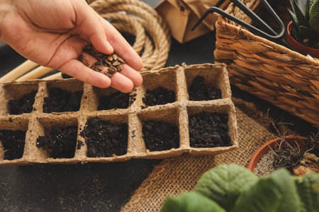 Seeds in the hands of a woman close-up, planting.