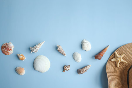Beautiful straw hat and seashells on color background, top view.