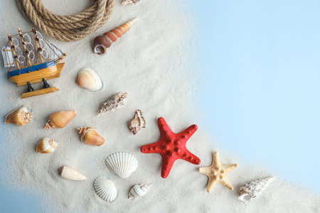 Seashells, Starfish on blue background, top view, copy space. Summer vacation or holiday concept.