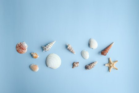 Seashells, Starfish on blue background, top view, copy space. Summer vacation or holiday concept.の写真素材