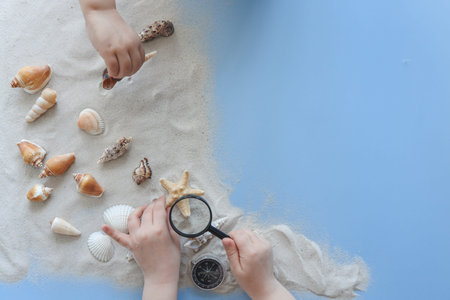 Children's hands top view playing with shells in the sand, research concept.の写真素材