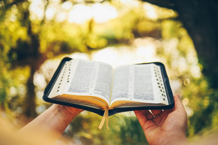 Christian woman holds bible in her hands. Reading the Holy Bible in a field during beautiful sunset....