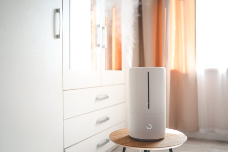 Modern air humidifier on table in living room. Space for text.