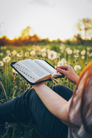 Christian woman holds bible in her hands. Reading the Holy Bible in a field during beautiful sunset....