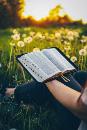 Christian woman holds bible in her hands. Reading the Holy Bible in a field during beautiful sunset....