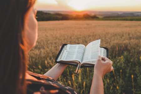 Open bible in hands, sunset in the wheat field, Christian concept.