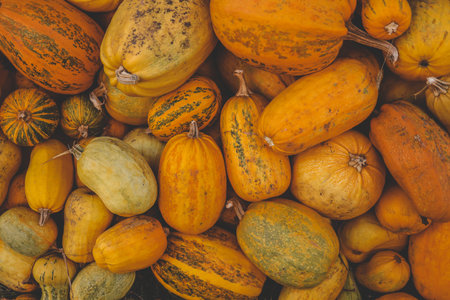 Pumpkin closeup background, harvest.